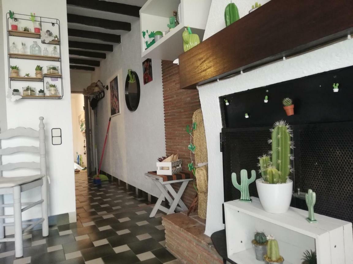 Can Cactus Garriguella Esterno foto